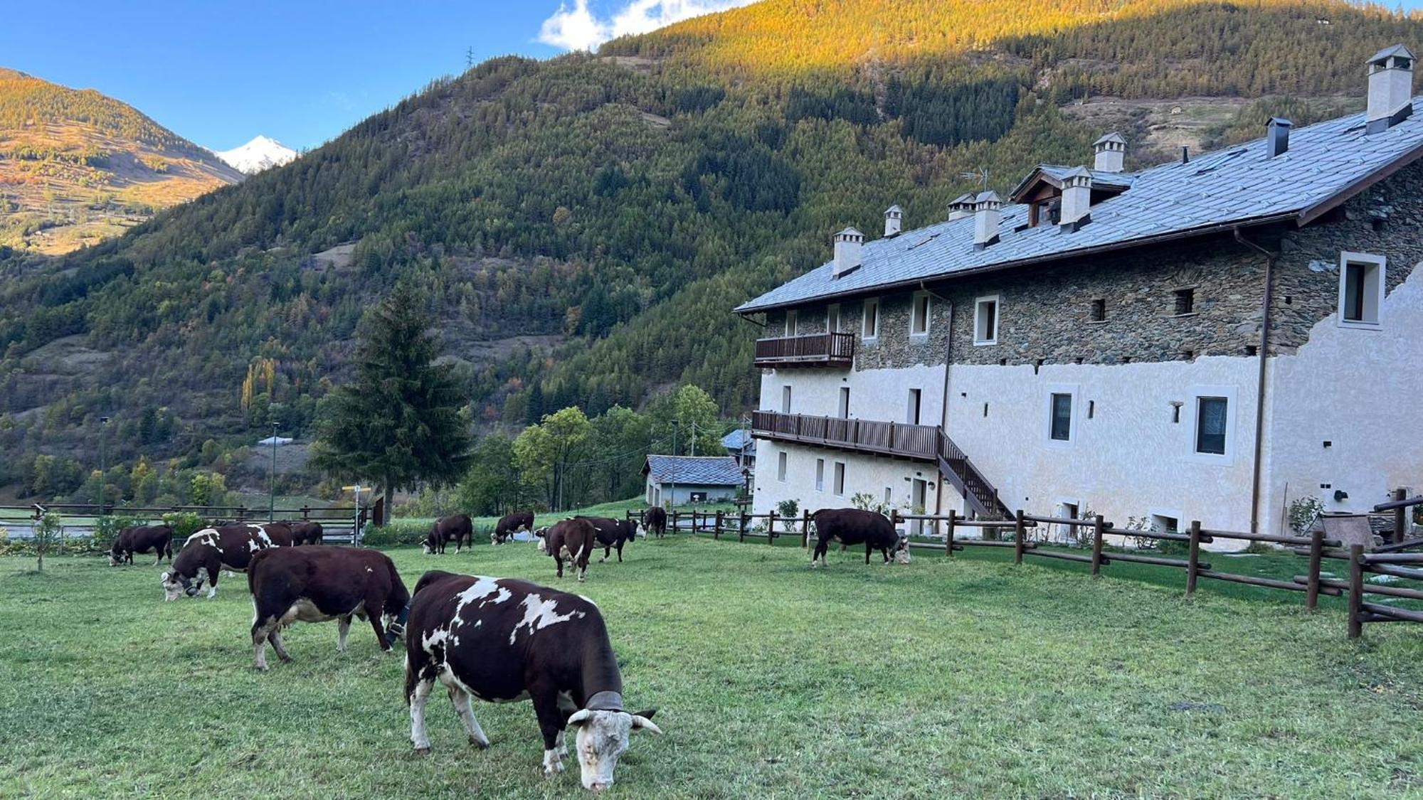 Maison Marcoz - Appartamenti Vacanze เอตรูเบละส์ ภายนอก รูปภาพ